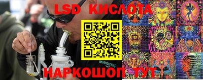ПСИЛОЦИБИНОВЫЕ ГРИБЫ Кунгур