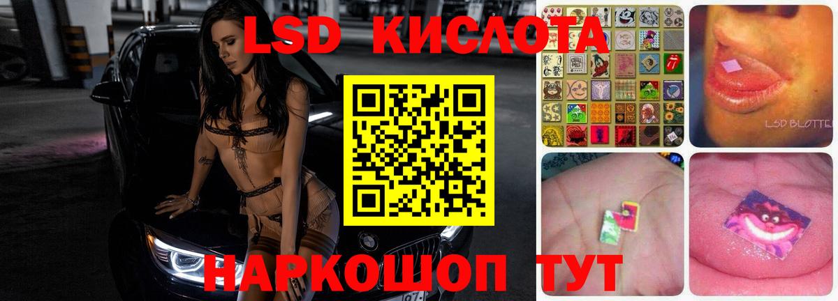 LSD-25 экстази кислота  Лсд 25 экстази  Камышлов  Вход с VPN 