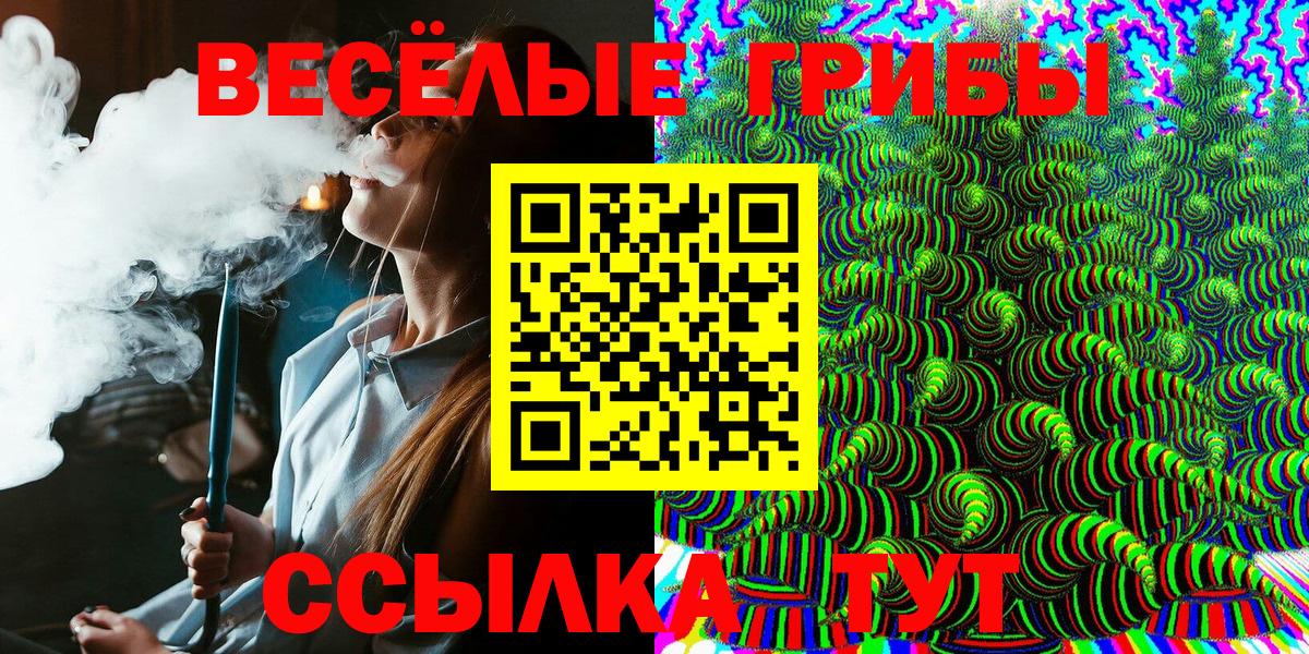 Псилоцибиновые грибы ЛСД Камышлов