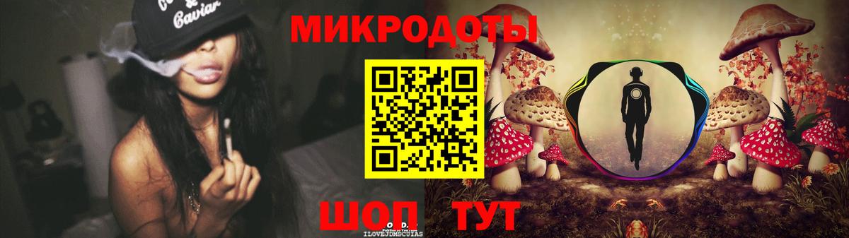 Камышлов  Псилоцибиновые грибы MAGIC MUSHROOMS  как найти   Вход с VPN 